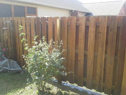 cedar fence after cleaning Chattanooga TN